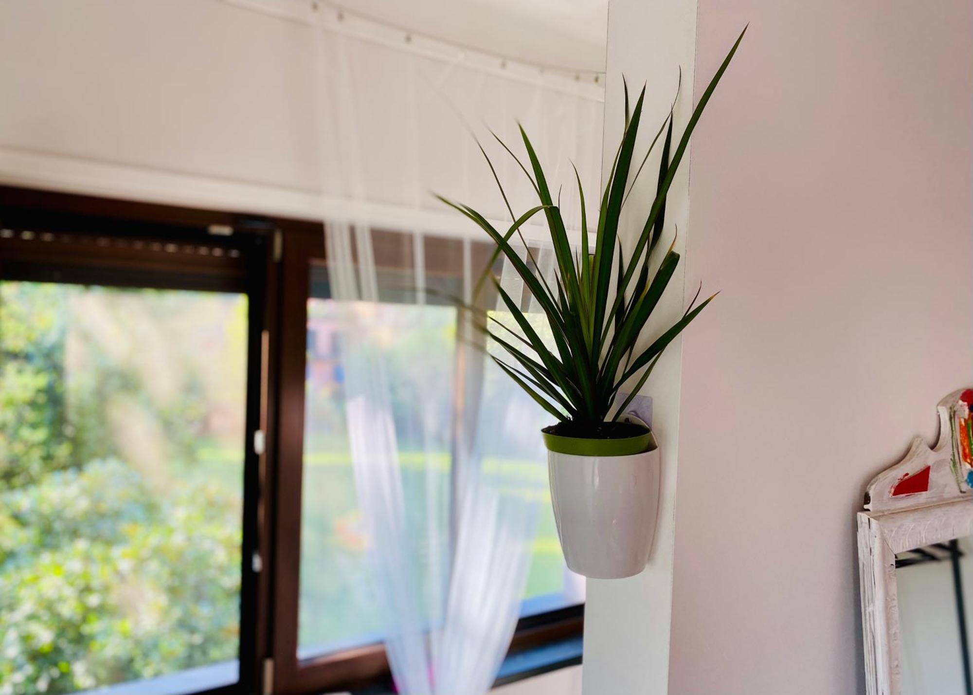 The Luxory Cat Bed & Breakfast Milan Exterior photo