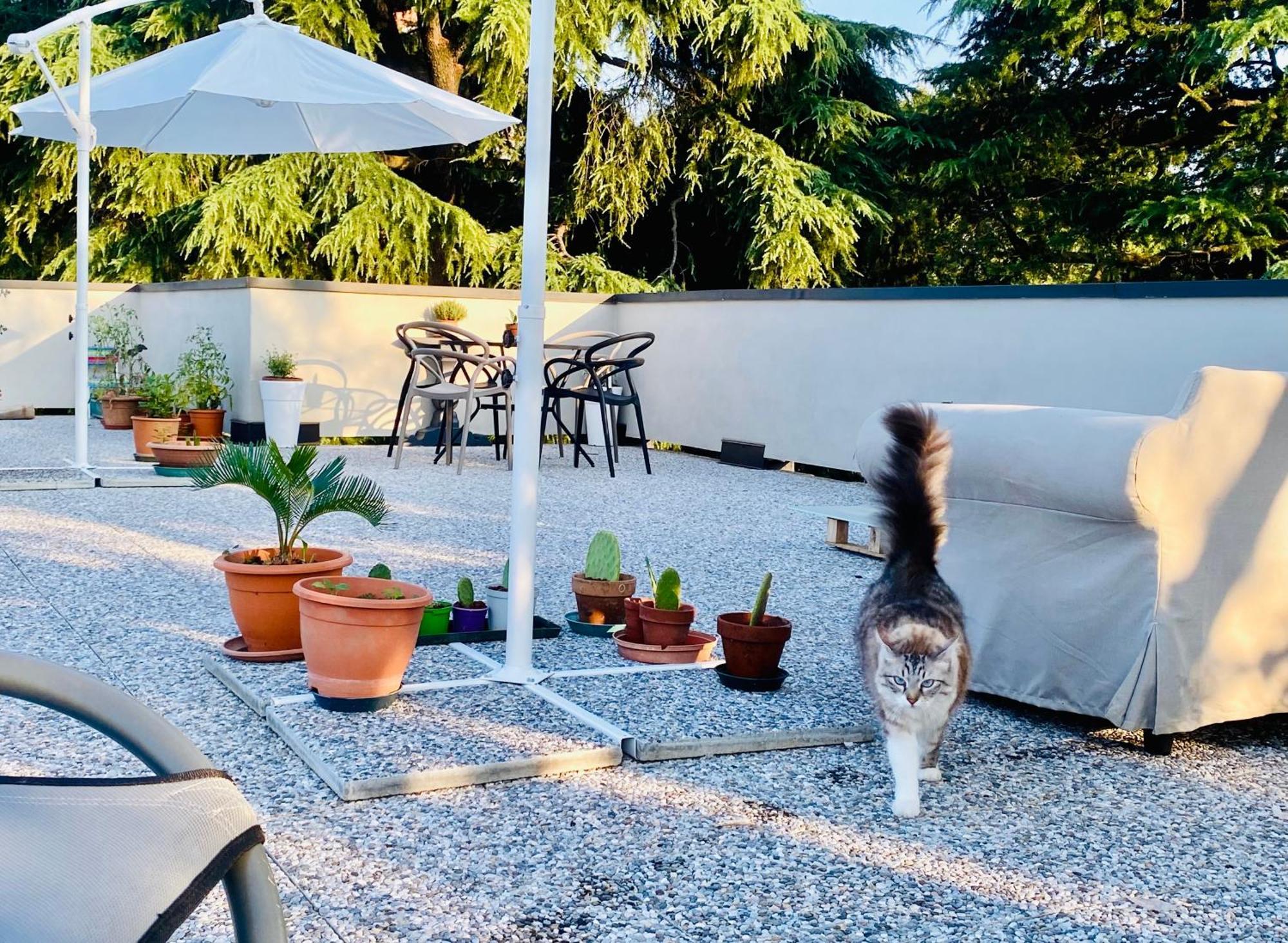 The Luxory Cat Bed & Breakfast Milan Exterior photo