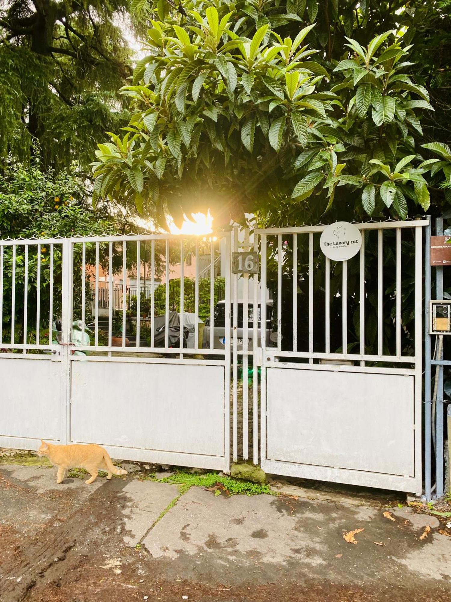 The Luxory Cat Bed & Breakfast Milan Exterior photo