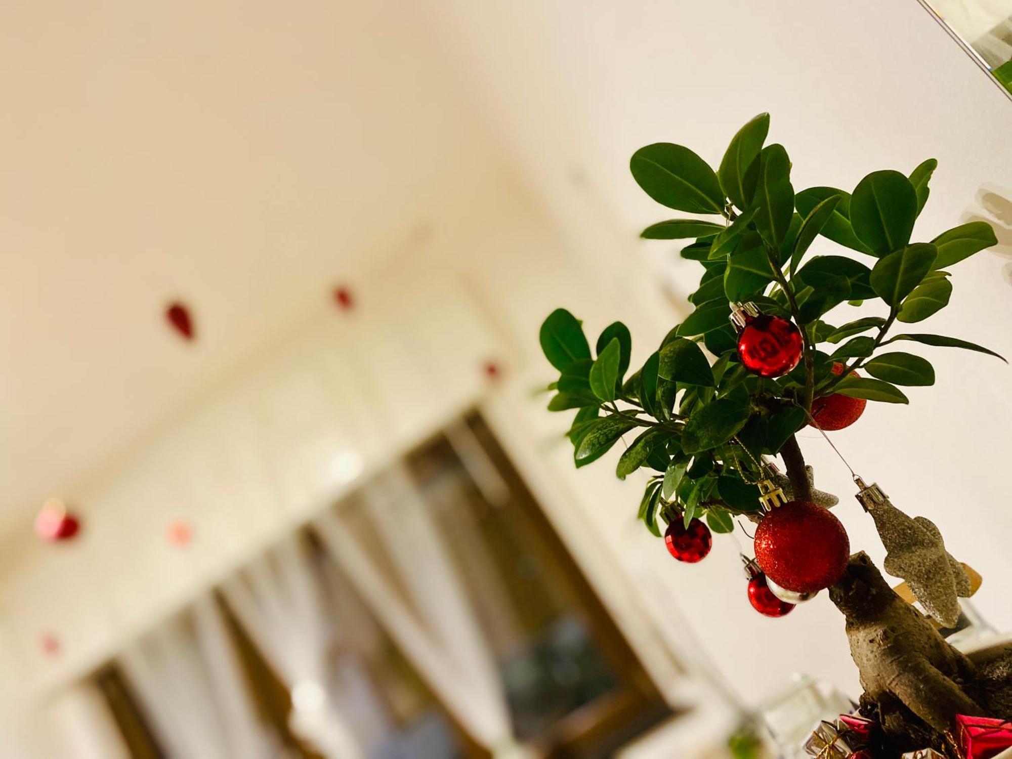 The Luxory Cat Bed & Breakfast Milan Exterior photo